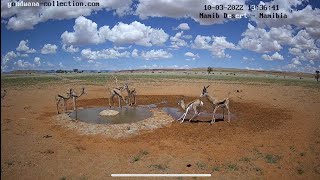 NamibiaCam: TimeLapse - 10 March 2022
