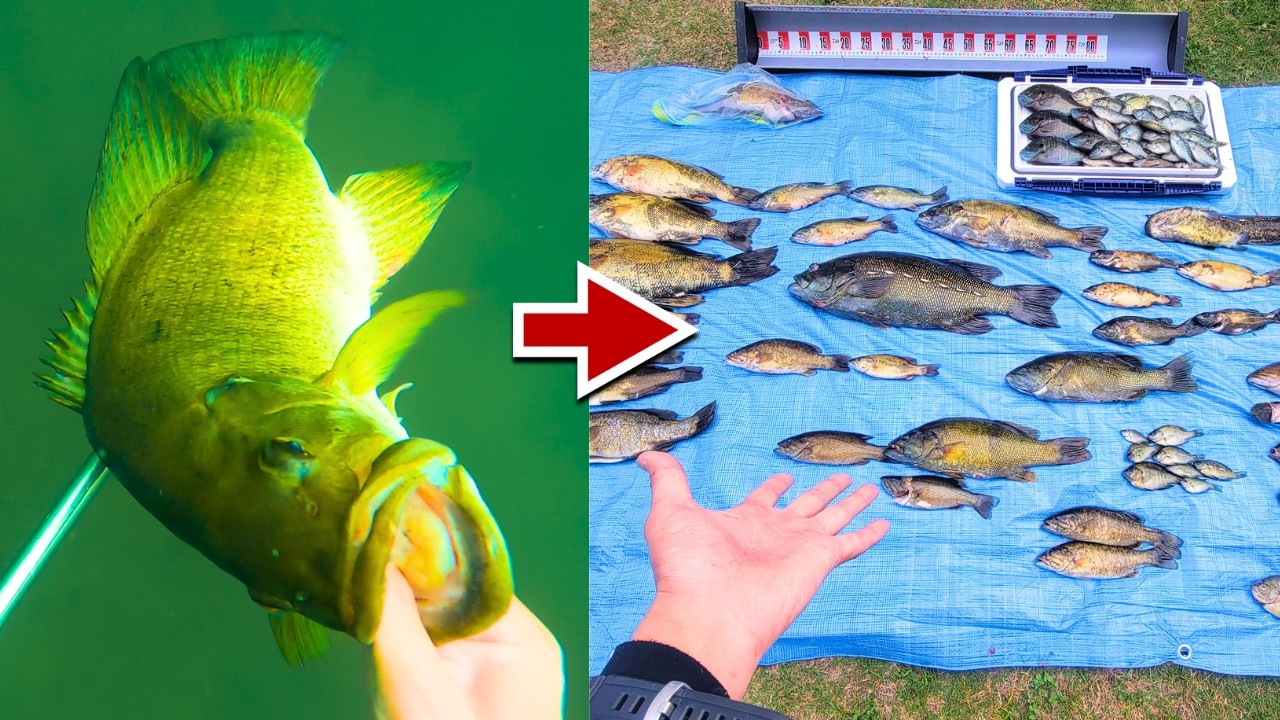 バス釣り大会で1人だけ“モリ”使った結果…とんでもないことになった