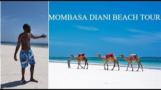 Mombasa City | Diani Beach | Paradise Place to Visit in South Coast Kenya 🇰🇪🏖