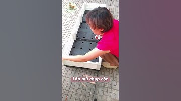 Chậu ghép thông minh HDPE - Cách lắp chậu dài