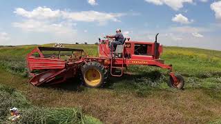 Swathing Hay in North Dakota with a Versatile 400 Swather