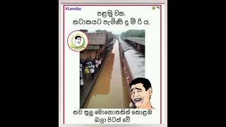   memehub funny funnyimages comedy sajanzzedits