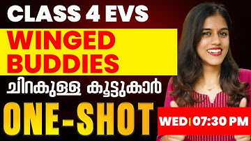 Class 4 EVS | Winged Buddies/ചിറകുള്ള കൂട്ടുകാർ | Oneshot | Exam Winner