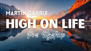 Martin Garrix feat. Bonn - High On Life (Prs Mashup)