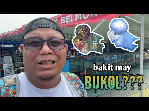 Aqua Monster 2023 - Fish and Pet Expo | Quezon City #flowerhorn #pets