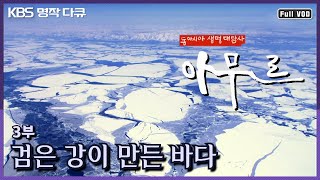 [KBS 명작다큐] 동아시아 생명대탐사 "아무르 3부 - 검은 강이 만든 바다" (KBS 110413 방송)
