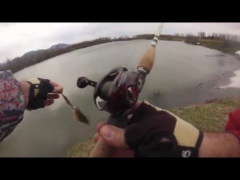 კასტინგი  პირველი ნაბიჯები