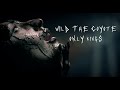 Wild the coyote  only kings official music