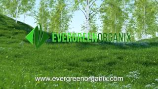Evergreen Organix Products