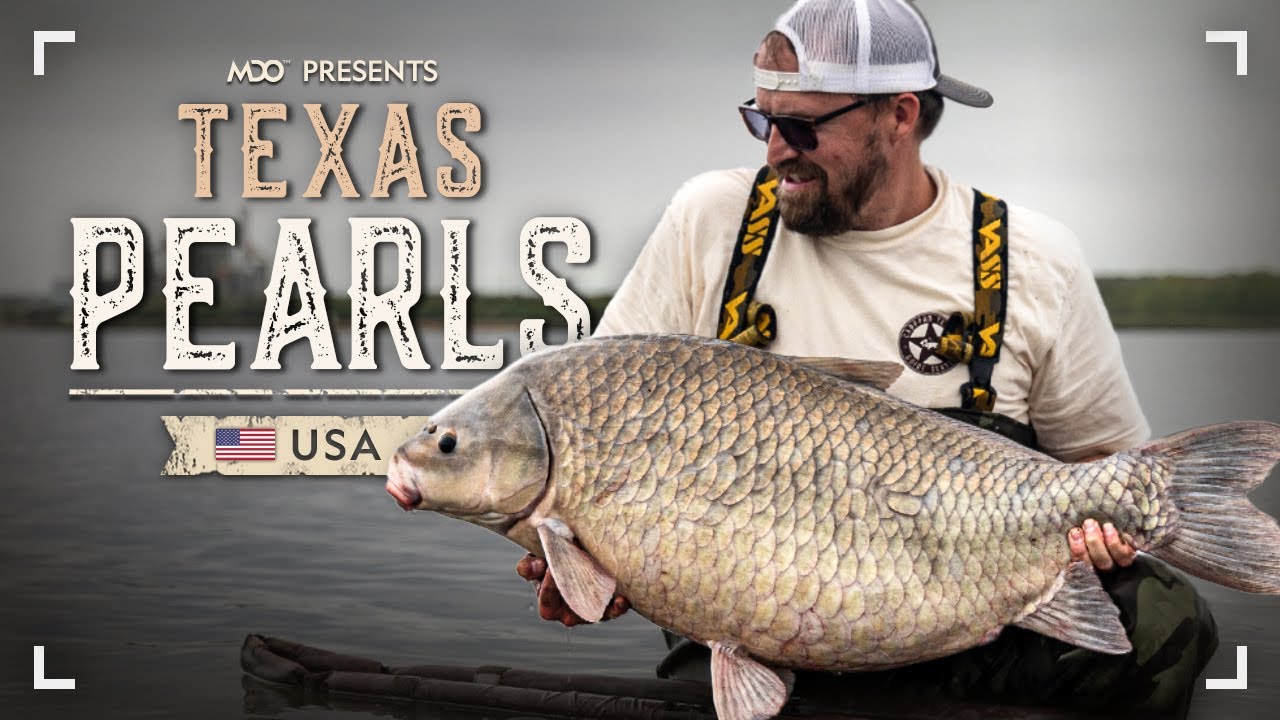 Fishing the Buffalo Capital of the World | Smallmouth Buffalo – Austin, TX