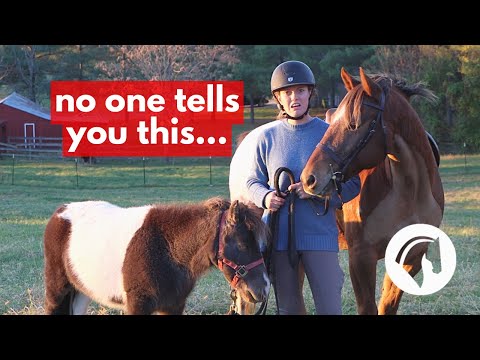 Video: Forbereder din eiendom for å holde en hest hjemme