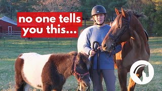 What It’s REALLY Like Keeping Horses At Home