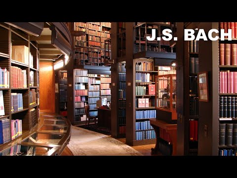 Musica para estudiar concentrado - musica ambiente de biblioteca universidad J.S. BACH - 2HORAS