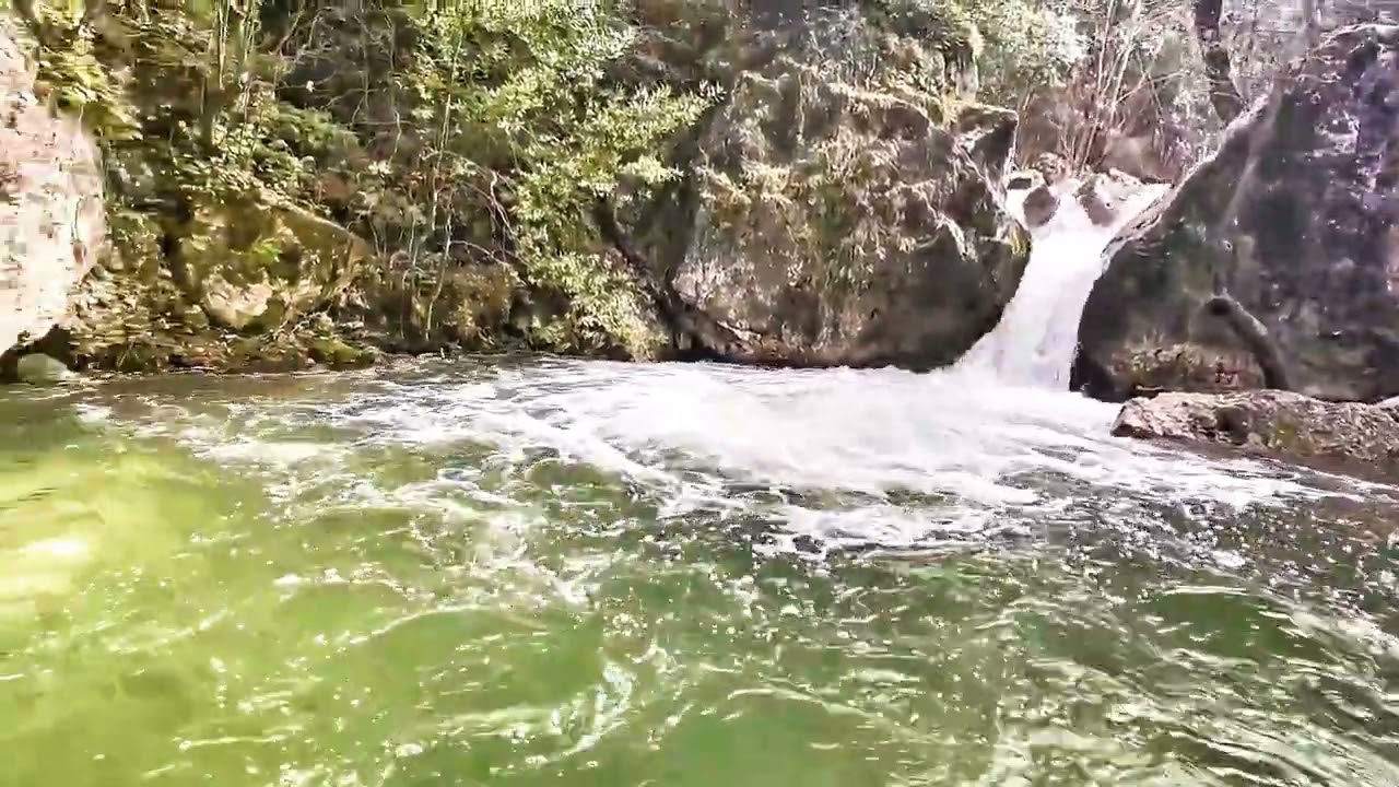 DOĞANIN İÇİNDEN ŞELALE VE ORMAN 