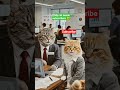Cats vs Corporate Performance Review 😹🔥#CatComedy #corporatecomedy #funniestvideo #eyecatchy