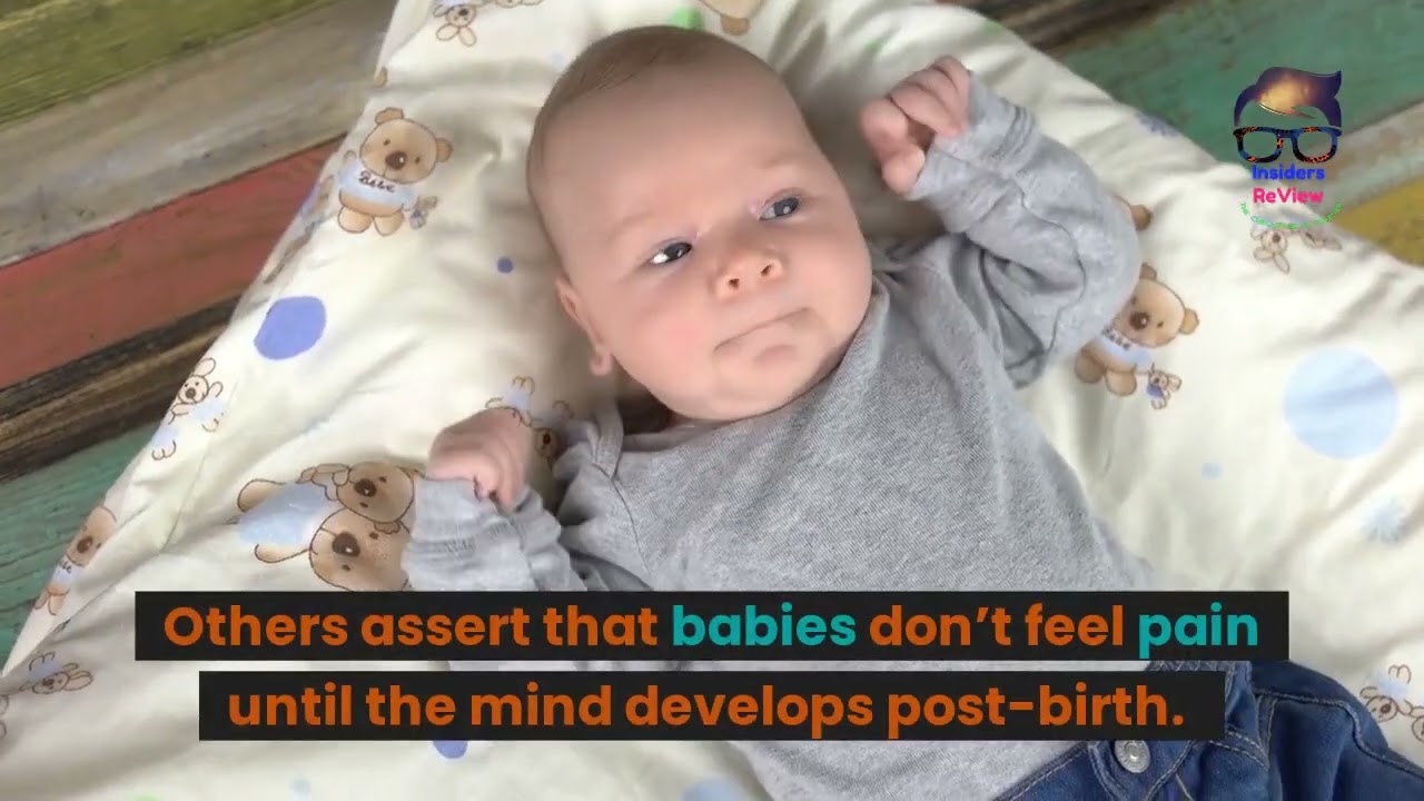 Abortion the Pros and Cons