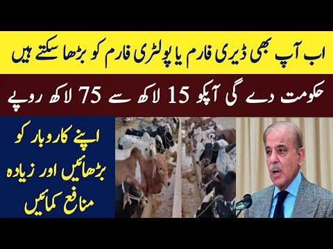 Dairy farm & poultry farm prime minister youth loan scheme update 2024