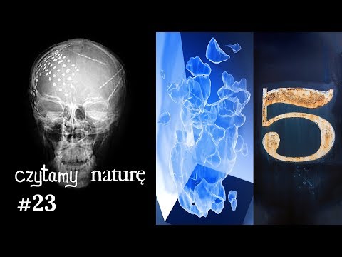 Czytamy naturę #23 | Synteza mowy prosto z mózgu - Ku ciemnej materii - Wielka Piątka?