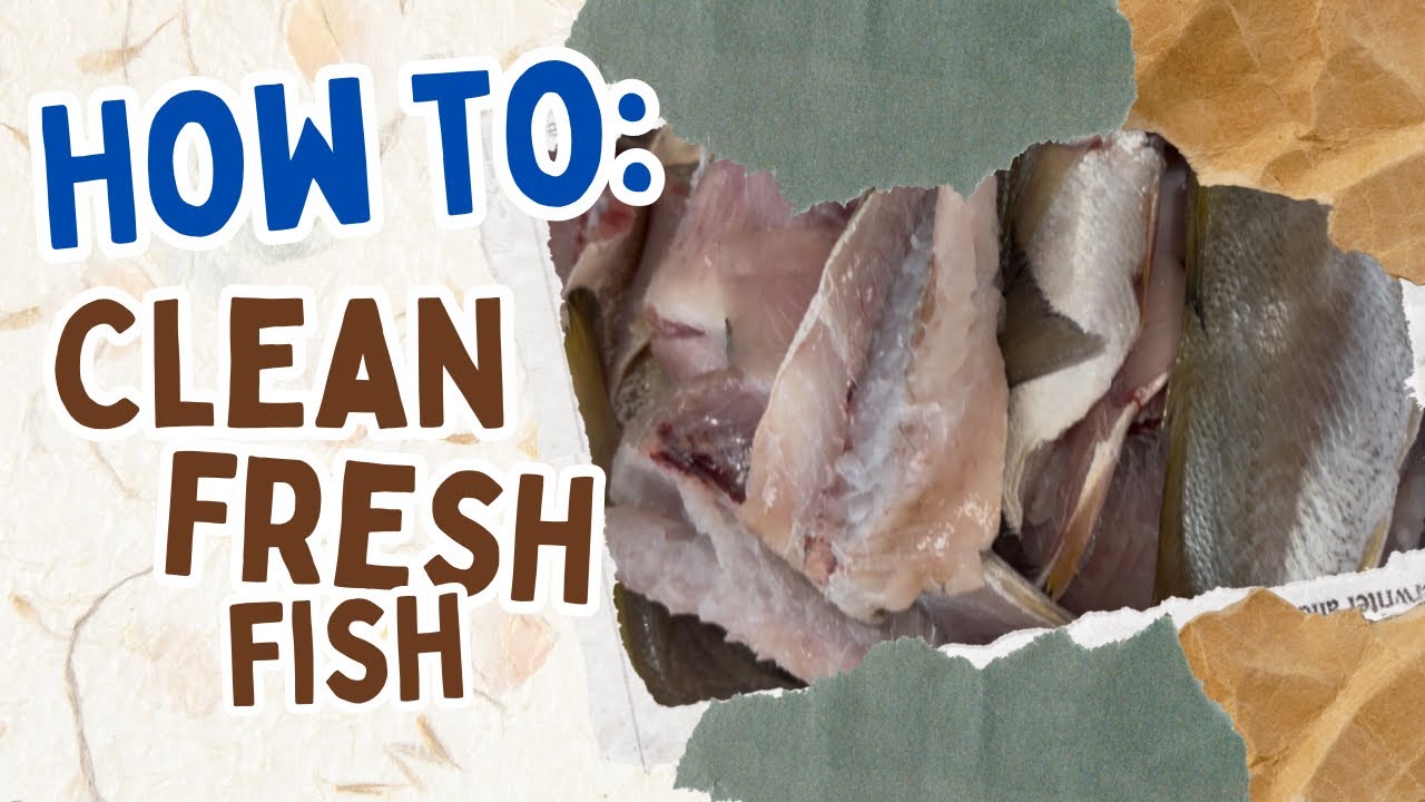 Cleanded Fish Cleaning Fresh Caught Fish at Home | Easy & Quick Method - YouTube
