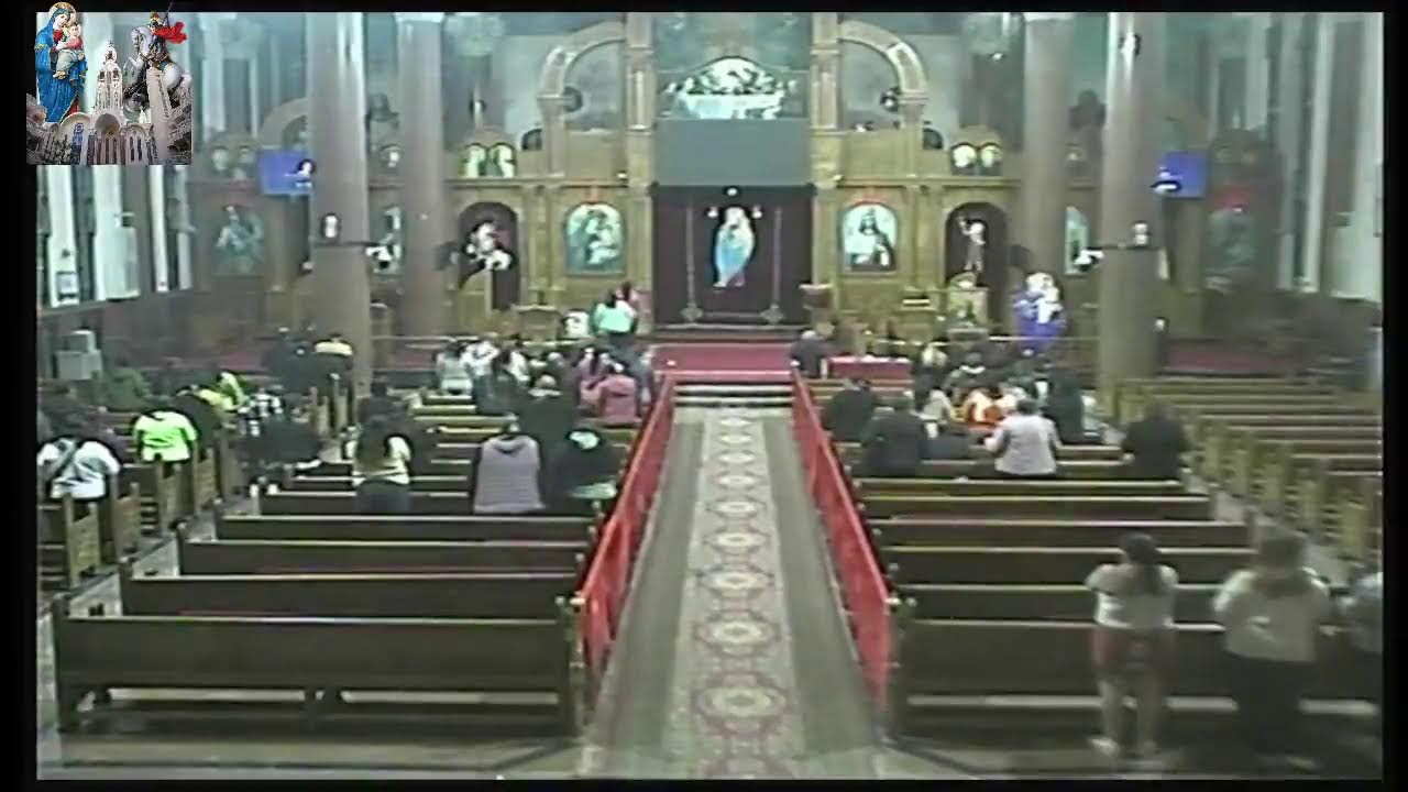 اجتماع شجرة مثمرة  5 - 3 - 2026