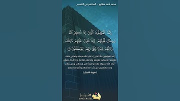صفات المؤمنين | من سورة الأنفال | محمد أحمد مطاوع