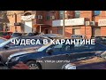 Нарушители самоизоляции. Молодёжь гуляет по гостям. Короткое видео на тему угрозы короновируса.