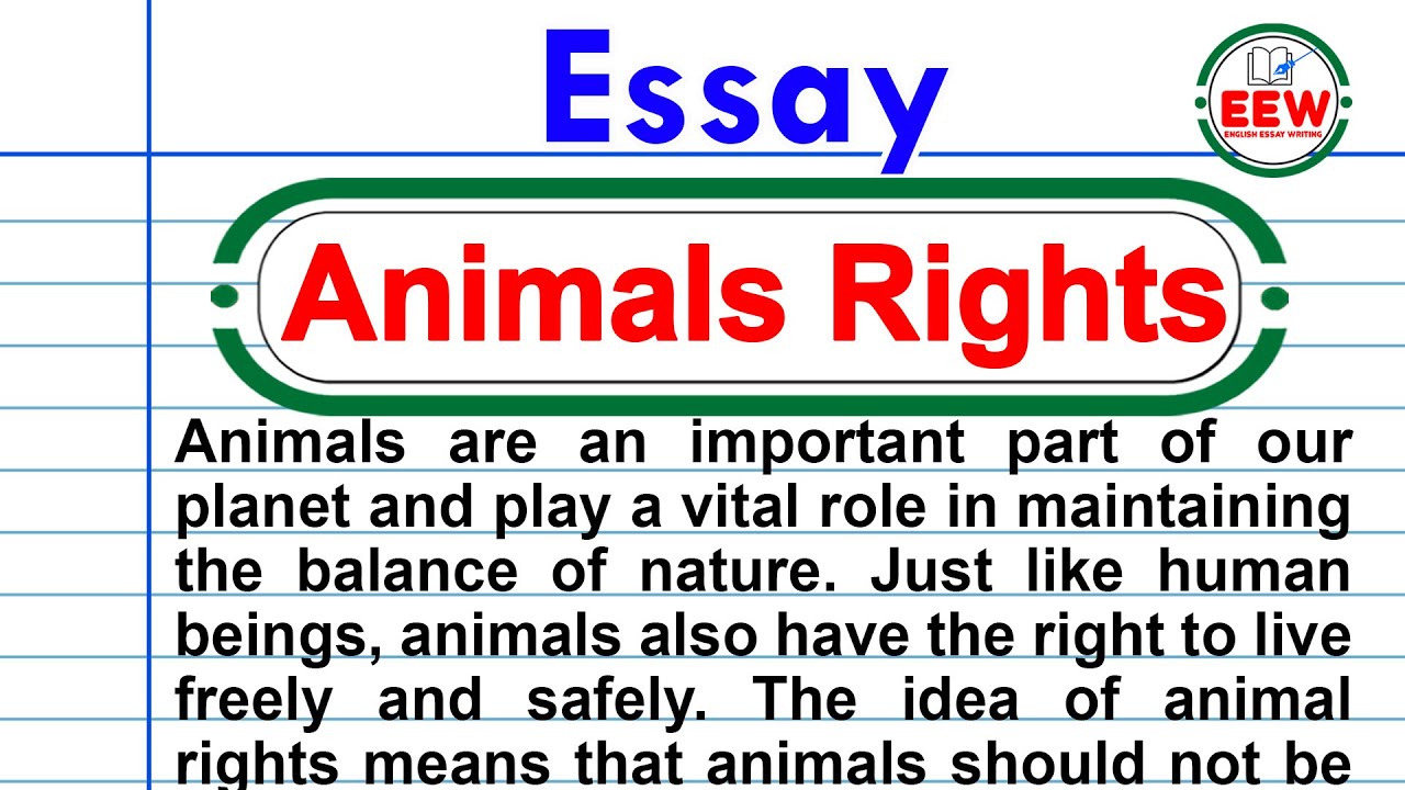 Essay on Animal Rights in English - YouTube