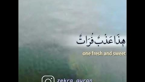 و هو الذي خلق من الماء بشرا إدريس أبكر بتلاوة خاشعة حالات واتس