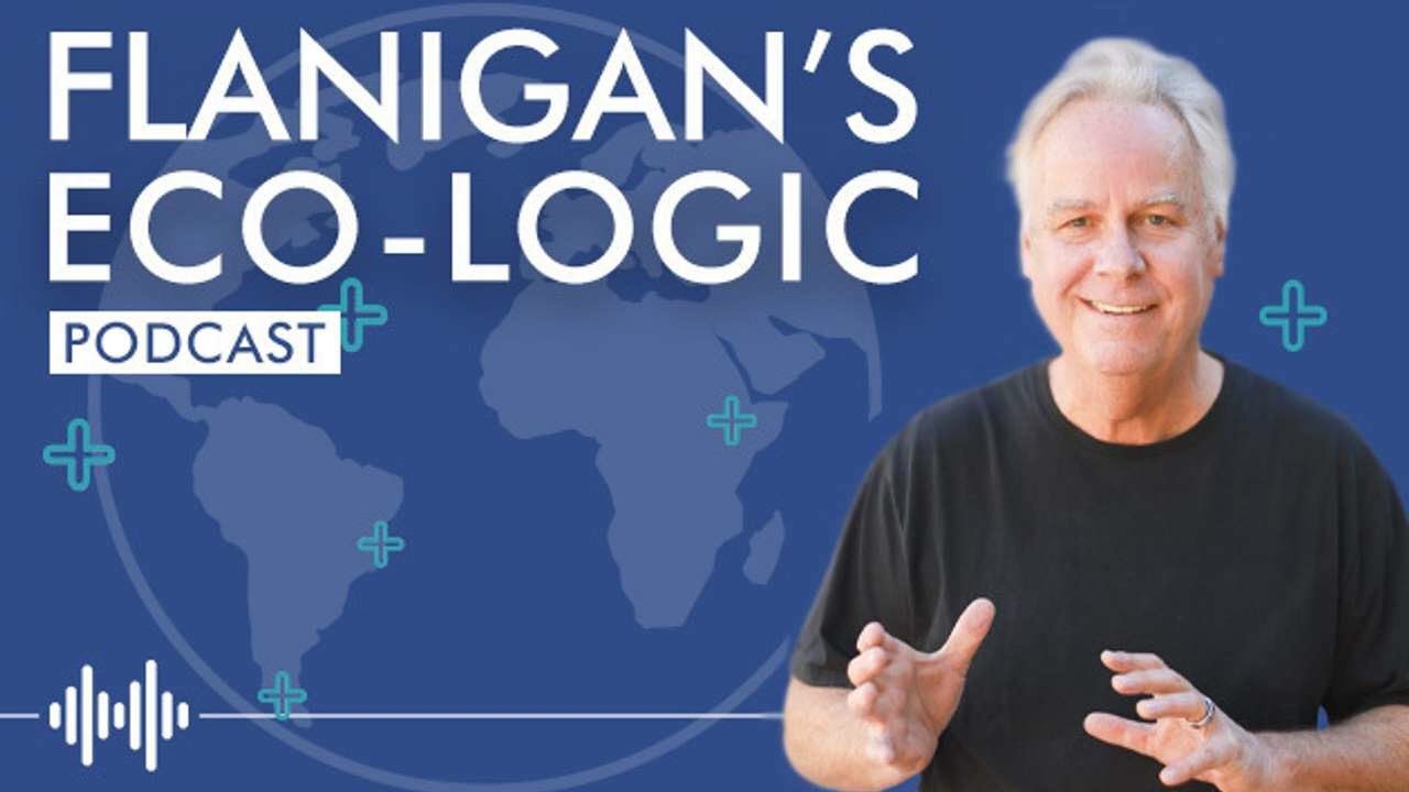 Barry Cinnamon on the Evolving Political Landscape Influencing the Future of Distributed Solar in...