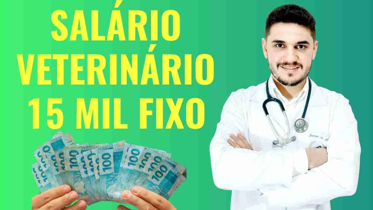 COMO TER BOM SALÁRIO E ESTABILIDADE NA MEDICINA VETERINÁRIA? - YouTube
