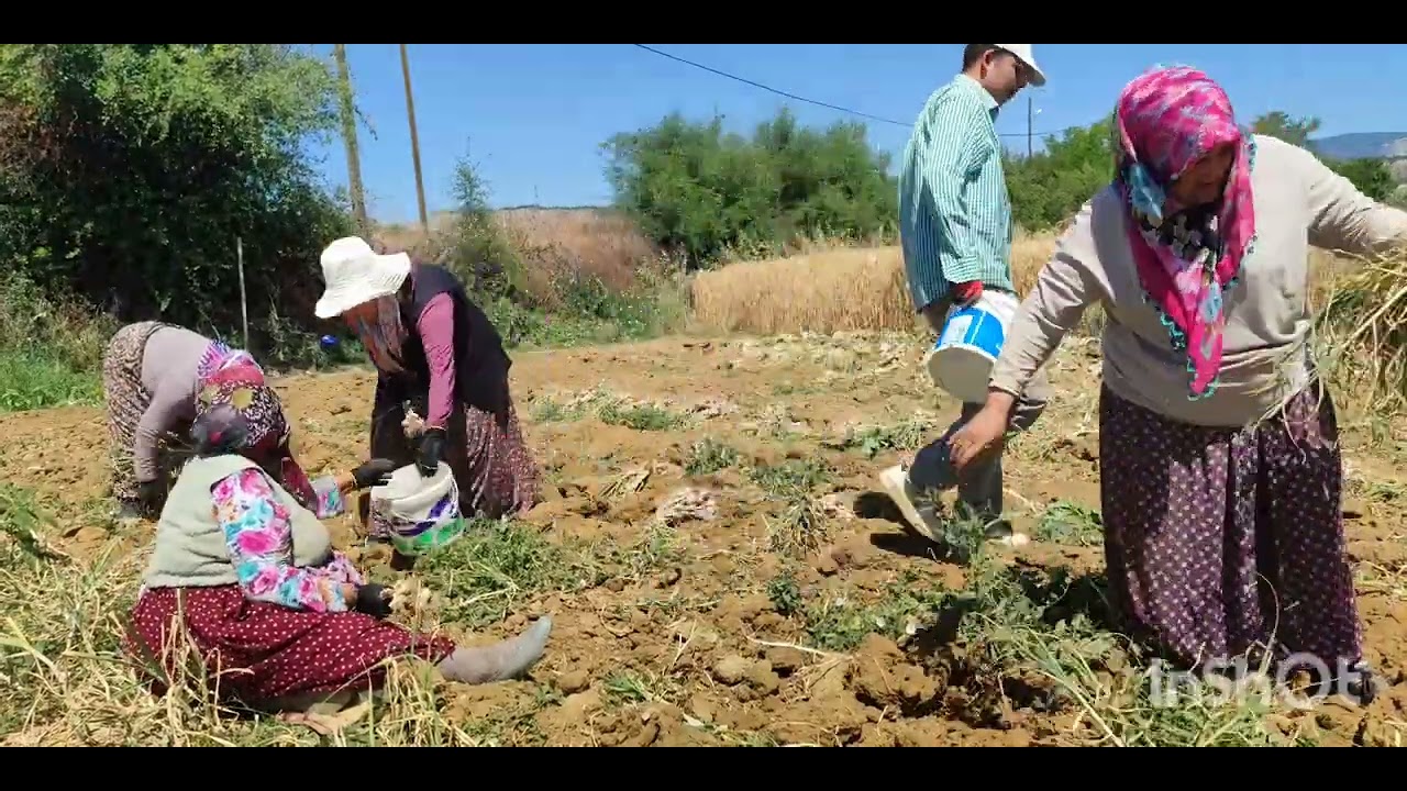 BAHÇE TURU VE SARIMSAK ÇIKARMASI
