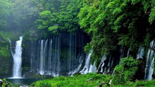 Waterfalls ~ Relax Music screenshot 5