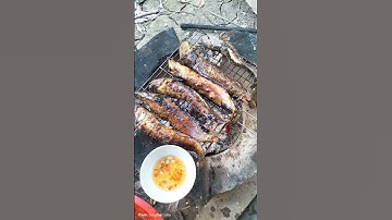 chiều nướng cá lai rai thật là tuyệt các bạn ơi cá nướng thơm gì đâu cập rao sống còn gì bằng