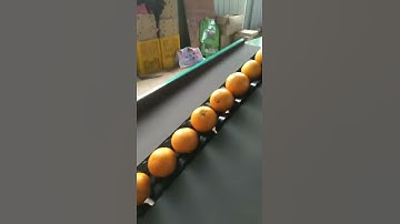 oval model automatic feeding fruit sorting machine