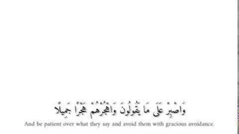 حالات واتساب دينيه جميله جدا بصوت القارئ أحمد الشافعي