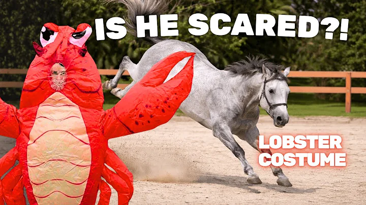 I Tested Scary Things Using My Horse’s Heart Rate