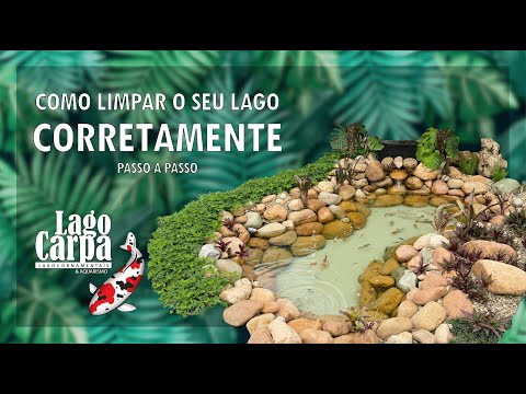 Vídeo: Como Limpar O Lago