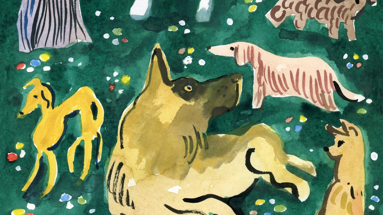 Sutja Gutierrez -  A Trap for Fools