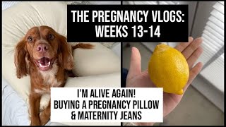 I'M ALIVE AGAIN! My Pregnancy Pillow & Maternity Jeans | Pregnancy Diary Weeks 13-14 screenshot 5