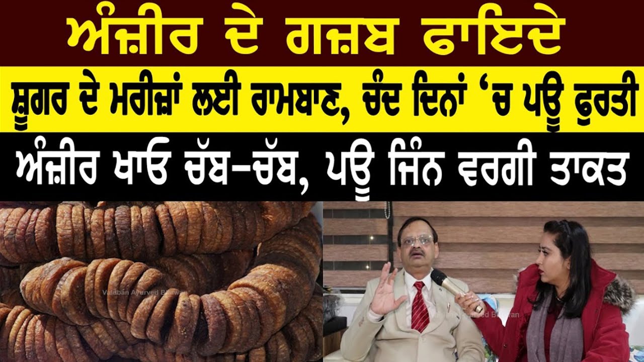 ⁣ਅੰਜੀਰ ਸ਼ੂਗਰ ਦੇ ਮਰੀਜ਼ਾਂ \'ਚ ਭਰਦਾ ਜਿੰਨ ਵਰਗੀ ਤਾਕਤ   Anjeer Benefits @subhashgoyal9438
