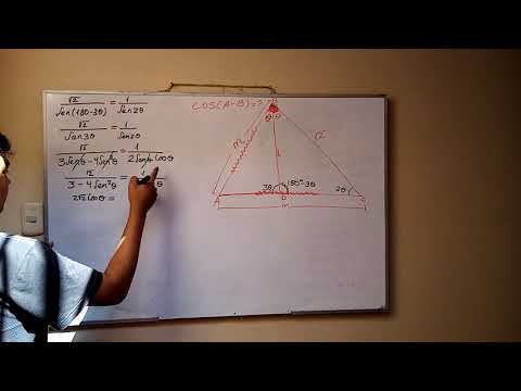 3 temas en 1 Trigo