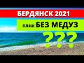 Бердянск 2021. Пляж без медуз. Есть ли такой?