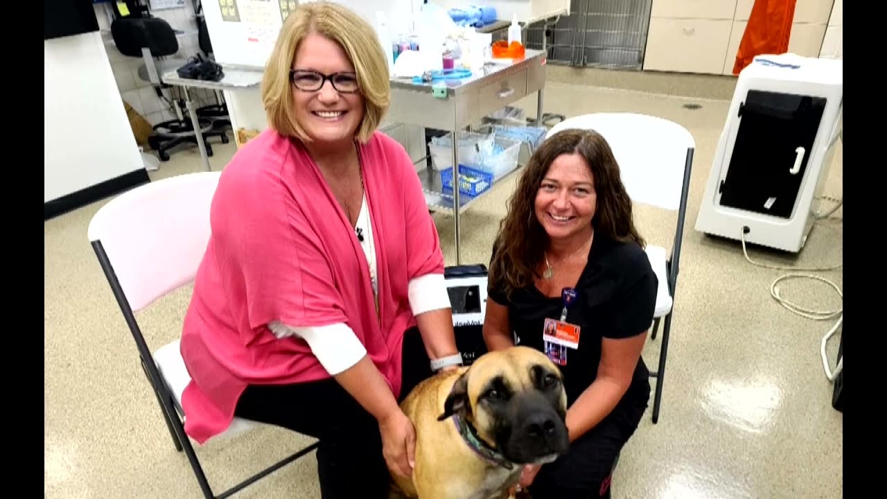 Issues & Attitudes, September 8th, 2025