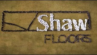 Shaw 2017 Human Logo