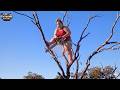 IDIOTS WITH CHAINSAWS: TREE CUTTING FAILS #17 | Extreme Dangerous Logging Truck Fails