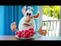 Booba - Meet the Parrot - Funny CGI Cartoons for kids