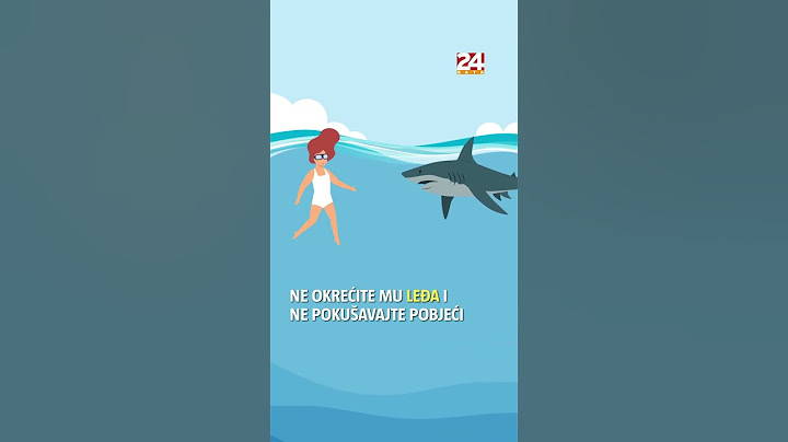 Ako se susretnete s morskim psom ne okrečite mu leđa: Evo kako preživjeti napad 🦈