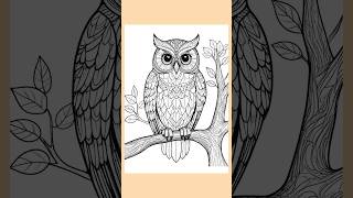Relaxing Owl Design Mindful Colouring for Calm Focus