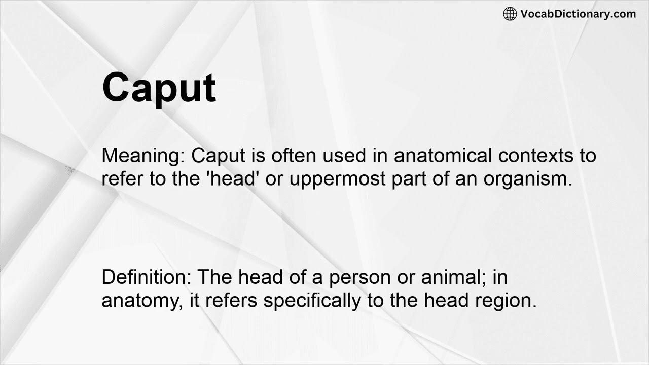 Caput Meaning