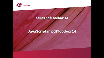 pdfToolbox 14 - Improved JavaScript experience